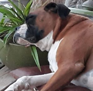 Meet your Posher, Lee